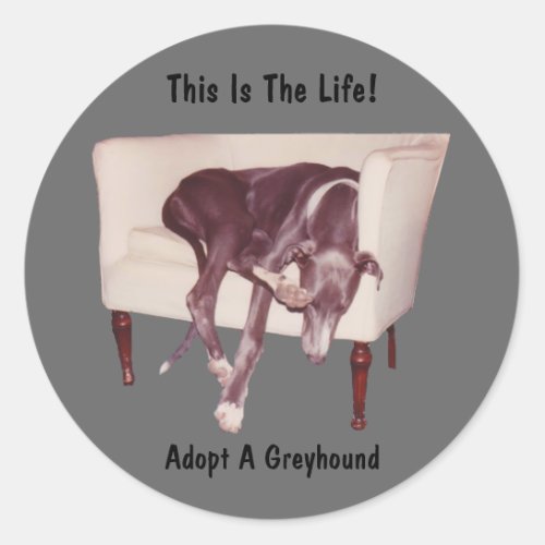 Adopt A Greyhound This Is The Life Sticker