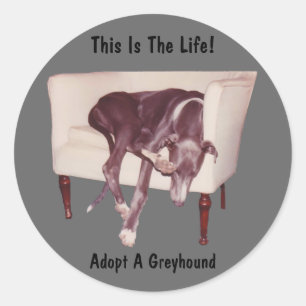 Adopt A Greyhound This Is The Life Sticker