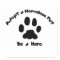 Adopt A Homeless Pet