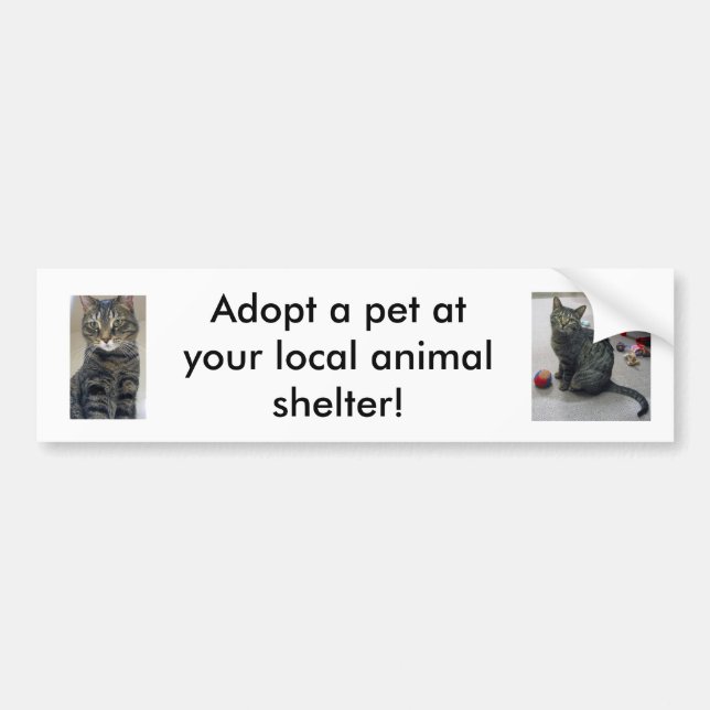 Adopt a Pet Bumper Sticker (Front)