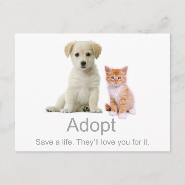 adopt a pet postcard (Front)