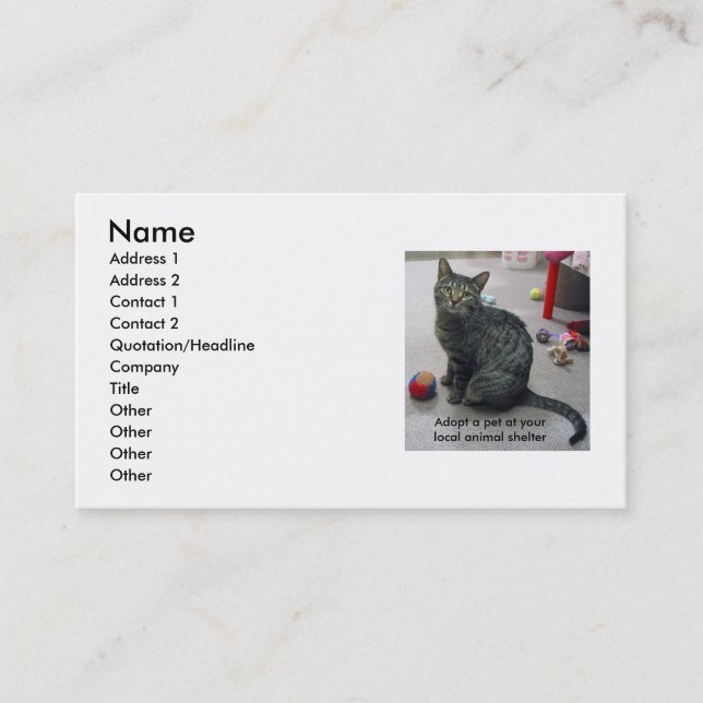Adopt a Pet Profile Card (Front)