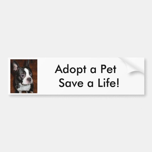 Adopt a Pet Save a Life! Bumper Sticker | Zazzle