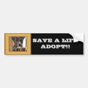 Adopt a puppy bumper sticker
