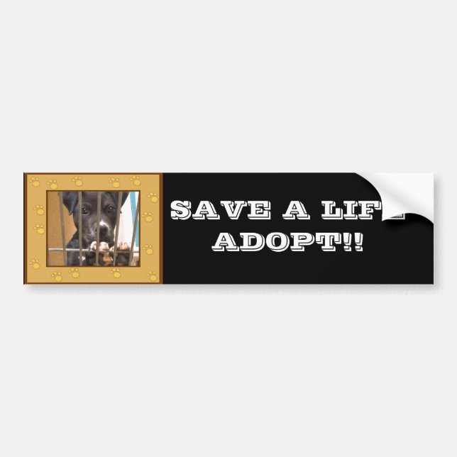 Adopt a puppy bumper sticker (Front)