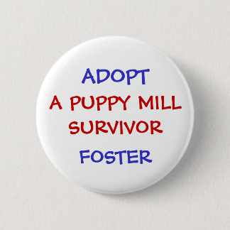 ADOPT, A PUPPY MILL SURVIVOR PINBACK BUTTON