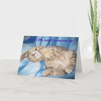 Adopt a rescue cat Greeting Card