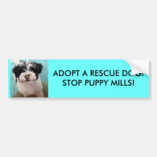 Adopt A Dog Bumper Stickers - Car Stickers | Zazzle