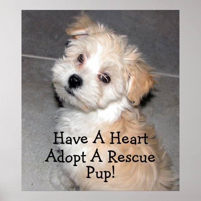 Adopt A Rescue Pup! Poster (Front)