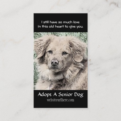 Customizable Adopt a Senior Dog Animal Rescue Business Card