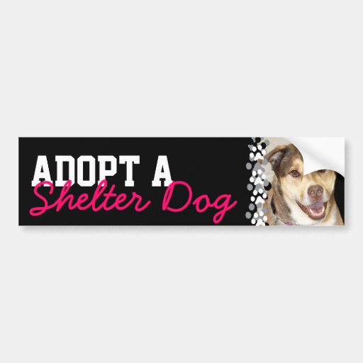 Adopt a Shelter Dog Bumper Sticker | Zazzle