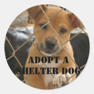 ADOPT A SHELTER DOG CLASSIC ROUND STICKER