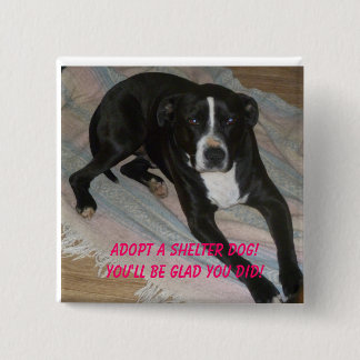 Adopt a Shelter Dog Today! Pinback Button