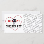Adopt a Shelter Pet (Front)