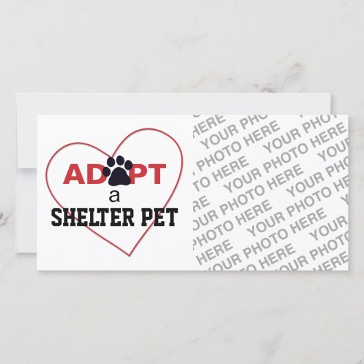 Adopt a Shelter Pet (Front)