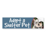 Adopt a Shelter Pet Australian Cattle Dog Bumper Sticker