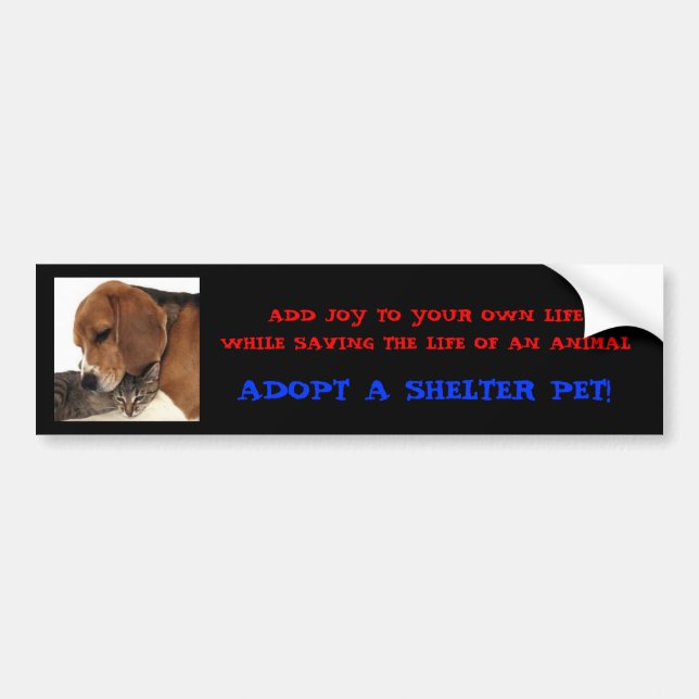 Adopt A Shelter Pet! Bumper Sticker (Front)