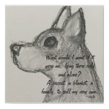 Adopt A Shelter Pet