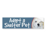 Adopt a Shelter Pet Great Pyrenees Bumper Sticker