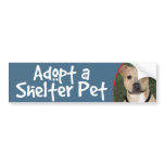 Adopt a Shelter Pet - Pitbull Bumper Sticker Decal