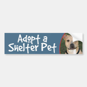Adopt a Shelter Pet - Pitbull Bumper Sticker Decal