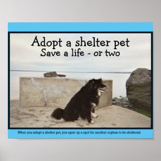 Adopt a Shelter Pet Poster