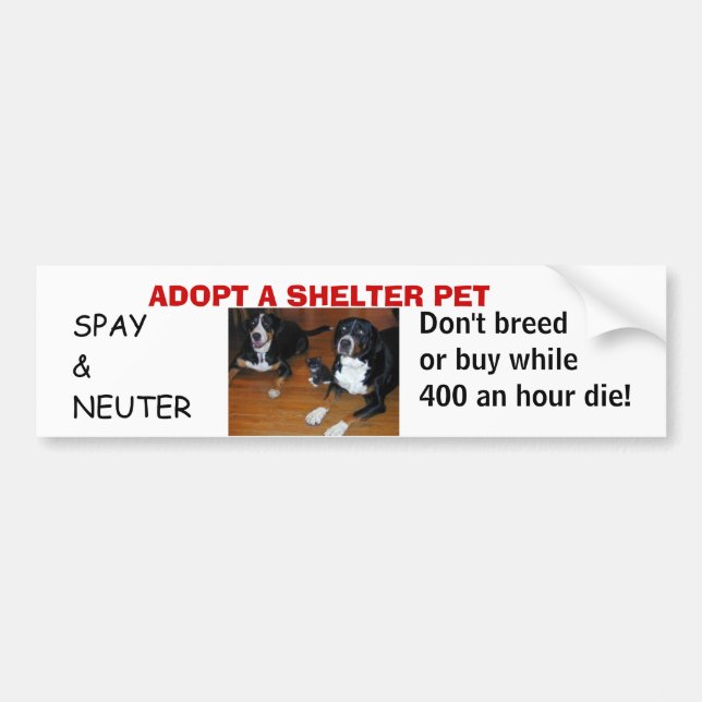ADOPT A SHELTER PET, spay neuter Bumper Sticker (Front)