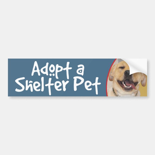Adopt a Shelter Pet Yellow Lab Bumper Sticker (Front)