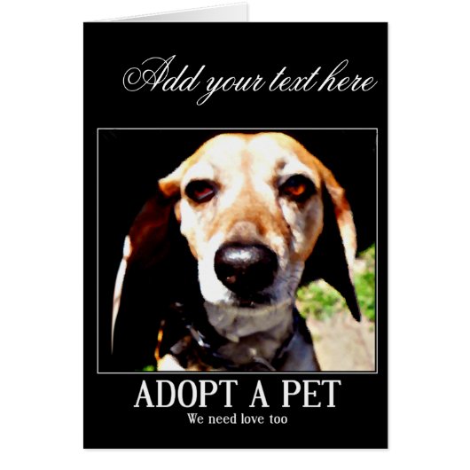 Adopt apet,We need love too_ Cards (Front)