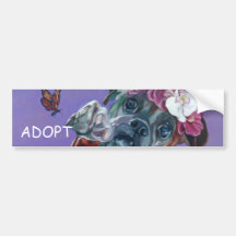ADOPT Bumper Sticker Boxer Dog