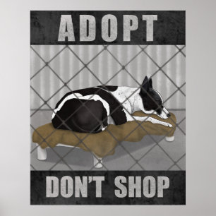 Adopt Don’t Shop Poster