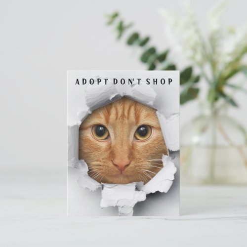 Adopt Dont Shop Cat Awareness Flat Card