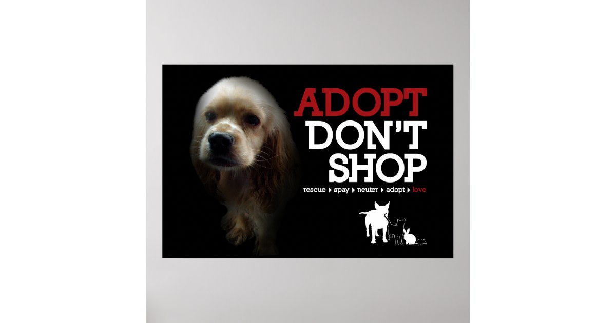 Adopt Don't Shop Poster | Zazzle