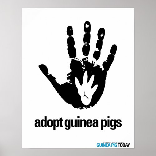 Adopt Guinea Pigs Poster _ Guinea Pig Today