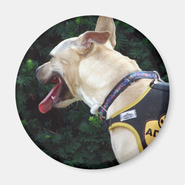 Adopt Me Magnet (Front)