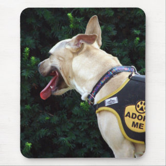 Adopt Me Mouse Pad