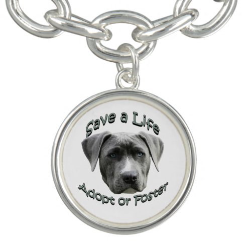 Adopt or Foster a Shelter Dog Big Dogs Need Love Bracelet