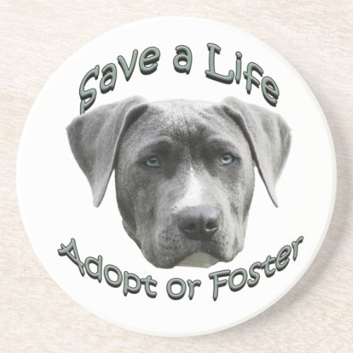 Adopt or Foster a Shelter Dog Big Dogs Need Love Coaster