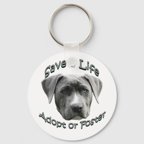 Adopt or Foster a Shelter Dog Big Dogs Need Love Keychain