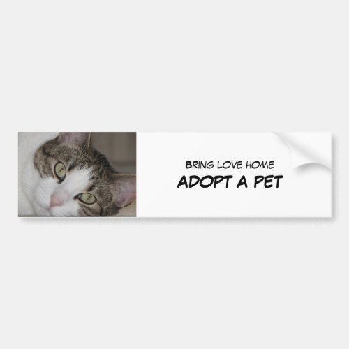 Adopt Pet Bumper Sticker II