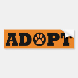 Adopt pets bumper sticker | Zazzle