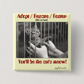 Adopt, Rescue, Foster Button