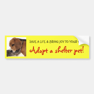 Adopt Shelter Pet, Shelter Dog, Shelter Cat Bumper Sticker