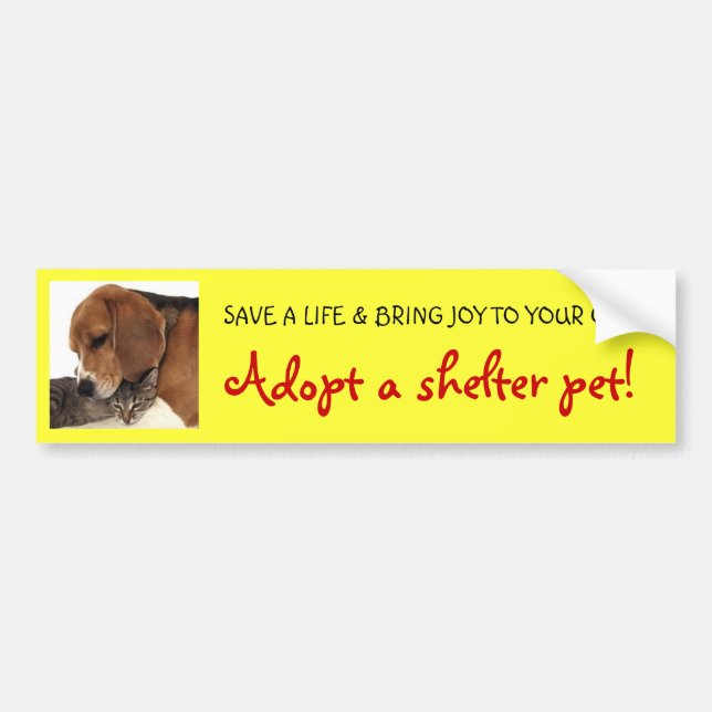 Adopt Shelter Pet, Shelter Dog, Shelter Cat Bumper Sticker (Front)