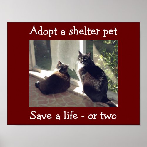 Adopt Shelter Pets Poster