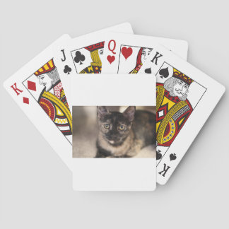 ADOPT Tiffany Poker Cards