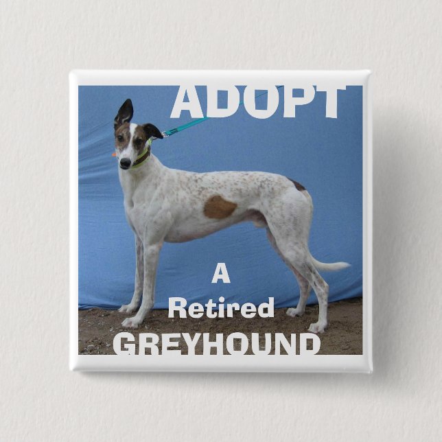 ADOPT (WBD) v.2 Pinback Button (Front)