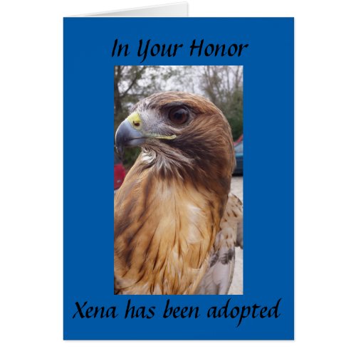 Adopt Xena the Red_Tailed Hawk_ In Your Honor