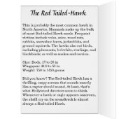 Adopt Xena the Red-Tailed Hawk- In Your Honor Cards (Inside (Left))