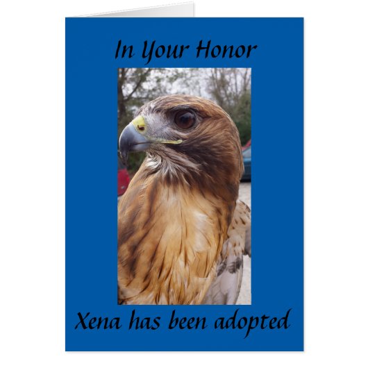 Adopt Xena the Red-Tailed Hawk- In Your Honor Cards (Front)